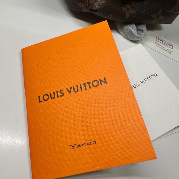Louis Vuitton Palm Springs Mini Bag - Picture 7 of 9
